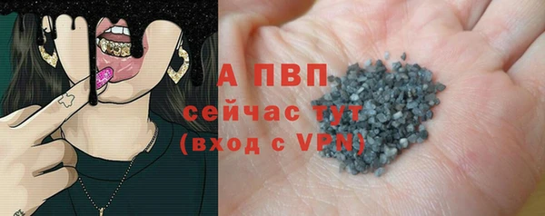 гашик Дмитров
