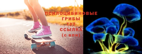 гашик Дмитров
