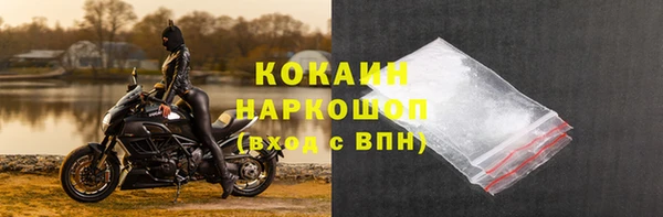гашик Дмитров
