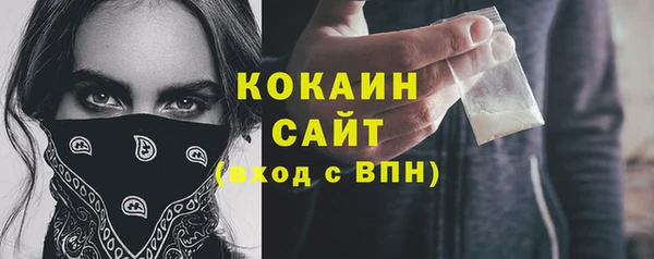 дмт Дмитриев