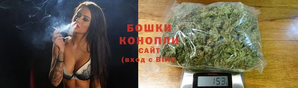 гашик Дмитров