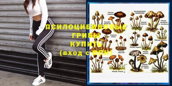 ALPHA PVP Дмитровск