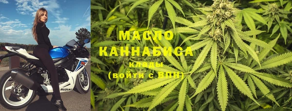 гашик Дмитров