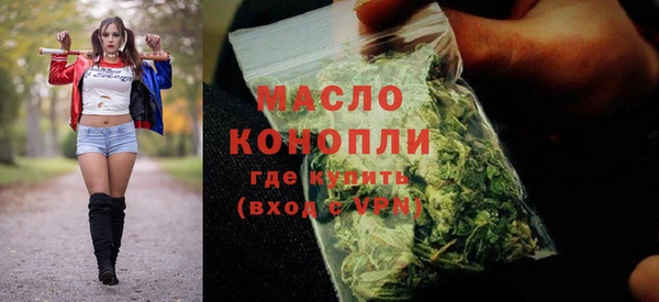 гашик Дмитров