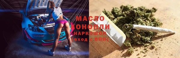 гашик Дмитров