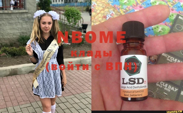 гашик Дмитров
